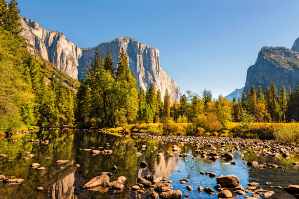 vue à la rivière merced, el capitan, roches de cathédrale, stationnement national de yosemite, californie, etats-unis - parc national de yosemite photos et images de collection