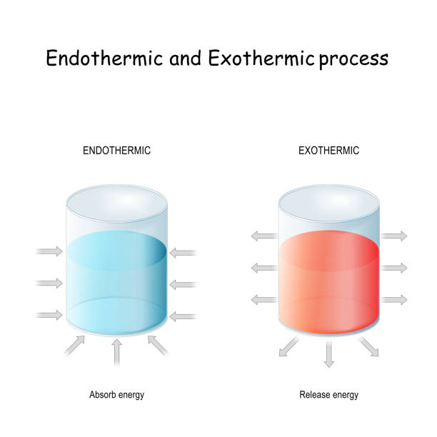 3,951 Endothermic Reaction Stock Photos, Pictures & Royalty-Free Images - iStock 3,951 Endothermic Reaction Stock Photos, Pictures & Royalty-Free Images - iStock