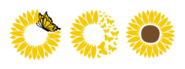아름다운 나비 세트와 해바라기. 티셔츠, 머그컵, 가방, 마스크 배경 일러스트의 디자인. - summer backgrounds line art butterfly stock illustrations