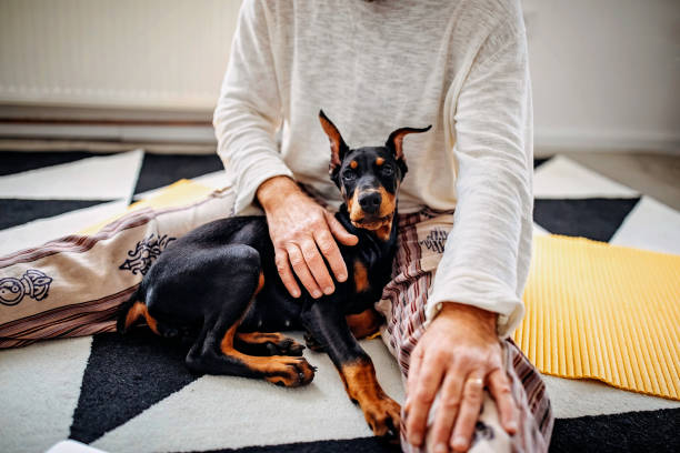 istock Are we gonna do do yoga 1301422021