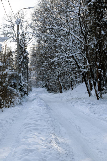 istock Snow road. Frosty, winter day. 1301424804