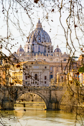 Rome, Italy, February 05 -- A winter light illuminates the dome of St. Peter's Basilica among the centuries-old trees on the banks of the Tiber in Rome, creating a suggestive pictorial atmosphere. Image in High Definition format.