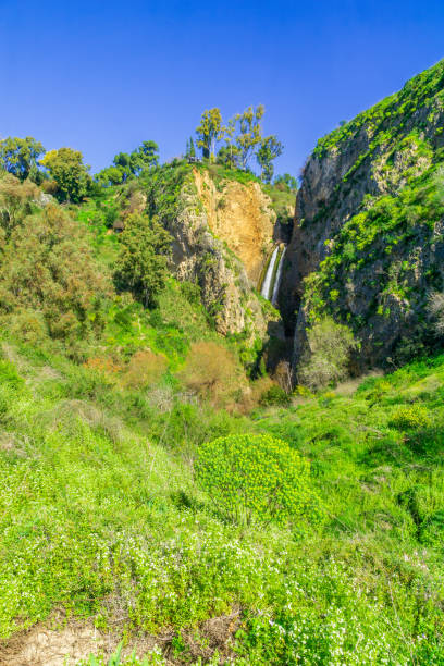 istock Tanur waterfall, wildflowers, in the Ayun Stream Nature Reserve 1301427204
