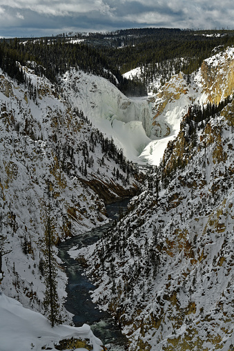snow and ice cover the Yellowstone River at the lower falls area of the Grand Canyon of Yellowstone