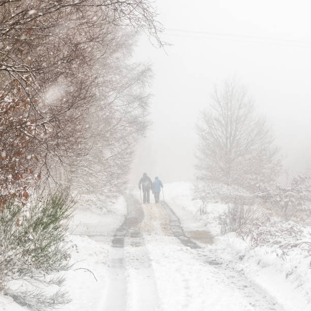 istock Snow covers the roads 1301432670