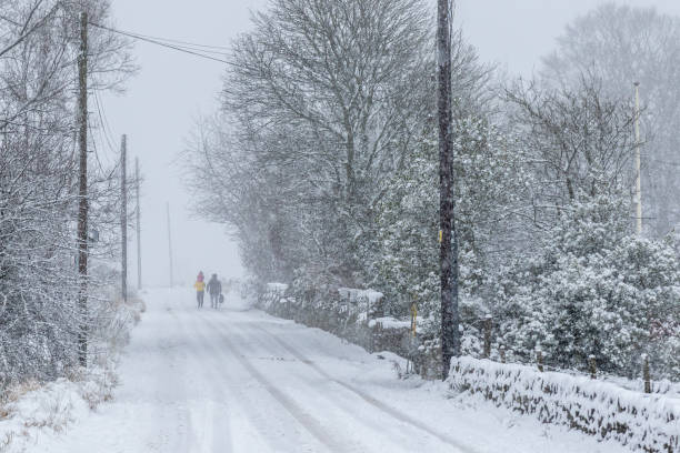 istock Snow covers the roads 1301432690