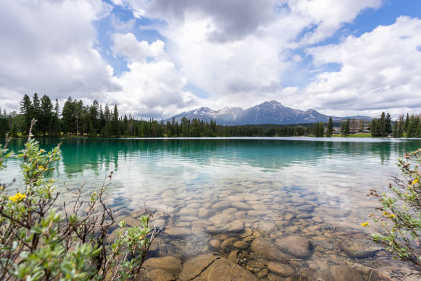 istock Beauvert Lake, Jasper National Park, Canada 1301434927