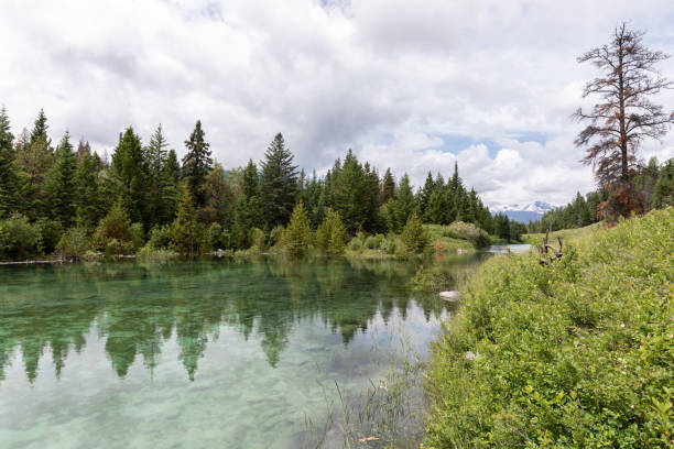 istock Five Lakes , Jasper National Park, Alberta, Canada 1301435304