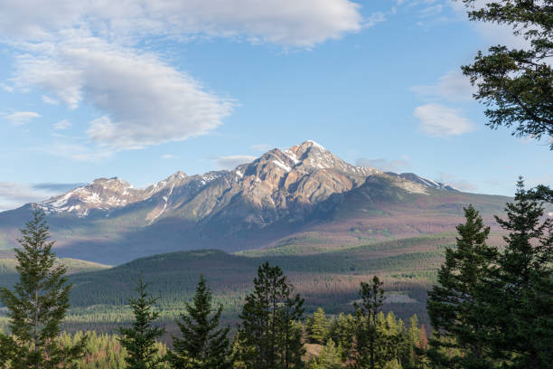 istock Pyramid Mountain View from Maligne Canyon, Jasper National Park 1301435534