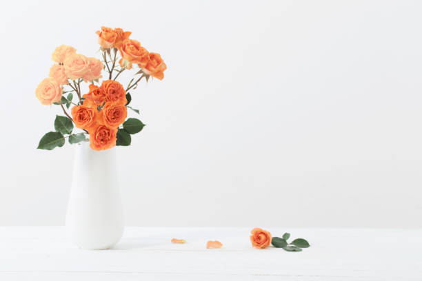 istock roses in white vase on white background 1301435626