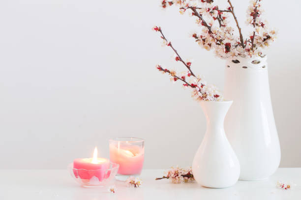 istock cherry flowers in vase on white background 1301435630