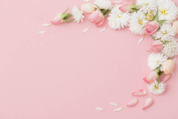 istock pink and white flowers on pink paper background 1301435657