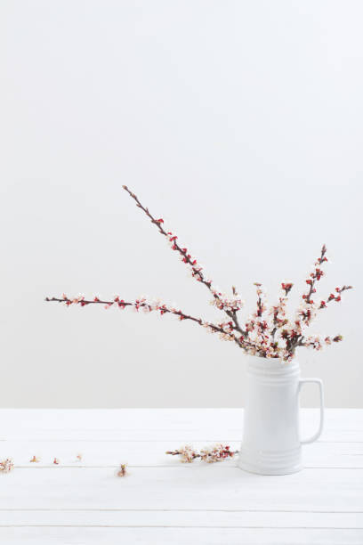 istock cherry flowers in vase on white background 1301435670