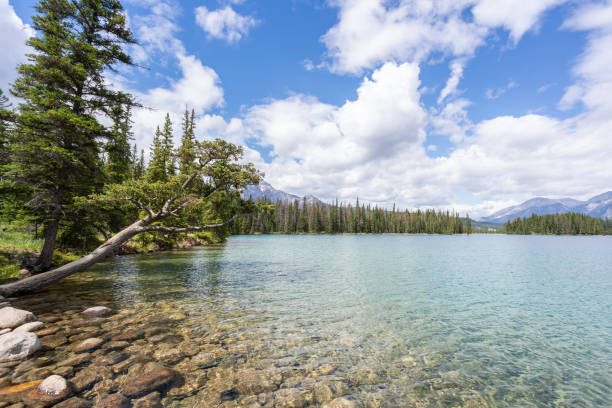 Beauvert Lake, Jasper National Park, Canada