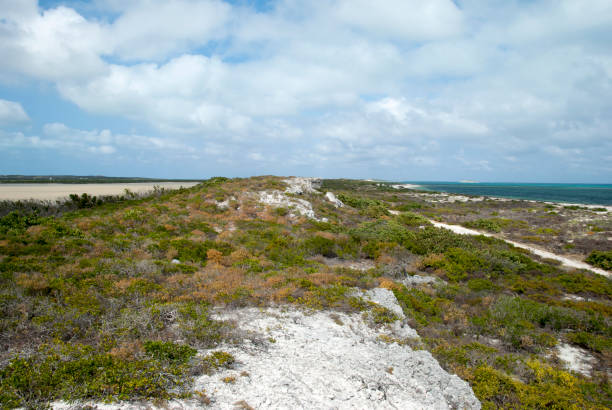 istock Grand Turk Between Lagoon And The Sea 1301436577