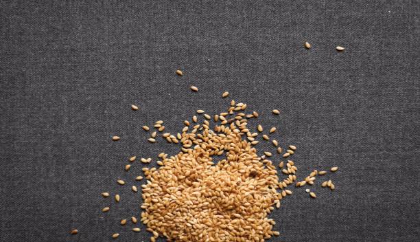 istock Sesame / flaxseeds on a dark background. 1301436697