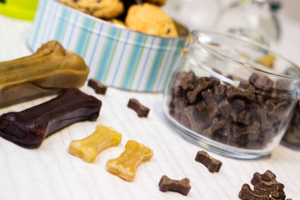 istock Dog treats and biscuits 1301438057