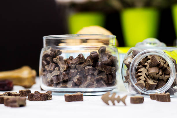 istock Dog treats and biscuits 1301438172