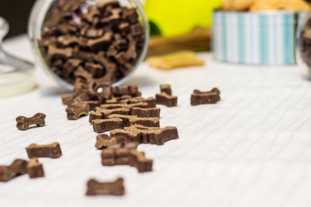 istock Dog treats and biscuits 1301438209