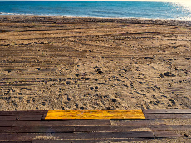 istock Wooden step to the beach 1301442303