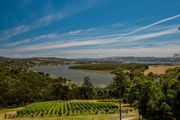 tamar river - launceston, tasmania - launceston zdjęcia i obrazy z banku zdjęć