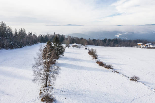istock Snow covered winter landscape in bavarian forest, germany 1301446667