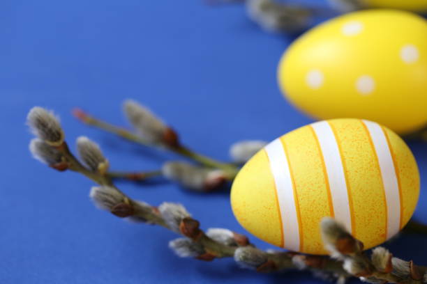 istock Easter holiday.Yellow easter eggs and pussy willow sprigs on bright blue background.Spring festive easter background.Spring religious holiday 1301447785