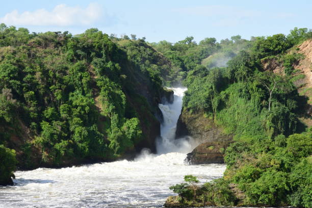 istock Waterfall in beautiful green forest with white water, rocks, roaring water, Murchison Falls National Park Uganda 1301447897