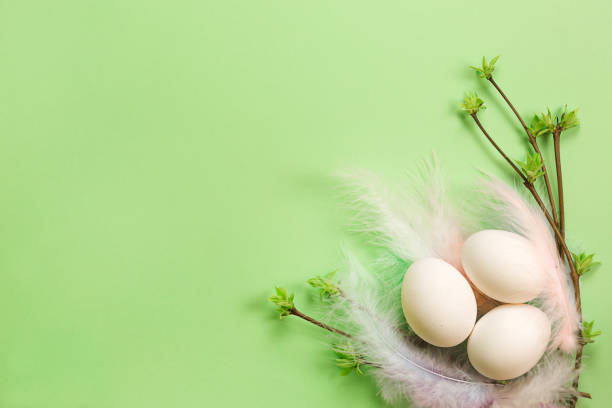 istock White Easter eggs in a delicate nest of colored feathers with unfurled leaf buds on the branches. Spring, a religious holiday, the birth of life. Copy space. Pale green background 1301447985
