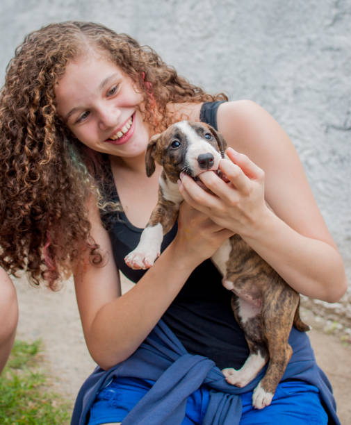 istock Girl playing with bull puppy 1301449519