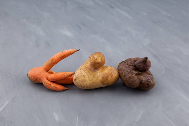 istock Different ugly vegetables (carrot, potato, beet) on grey background, top view. Concept - Food organic waste reduction. Using in cooking imperfect products 1301450064