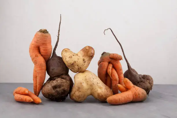 Photo of Ugly vegetables, side view, close-up. Concept - Food organic waste reduction. Using in cooking imperfect products