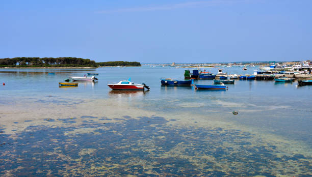 istock Port Cesareo Salento Italy 1301452559