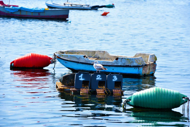 istock Port Cesareo Salento Italy 1301452669