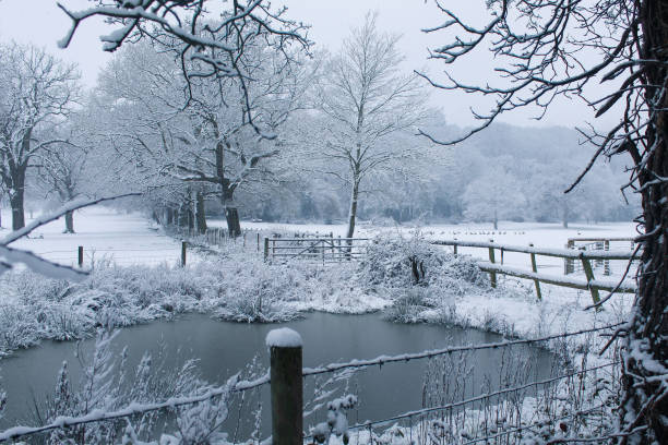 Snowy days in London 2021
