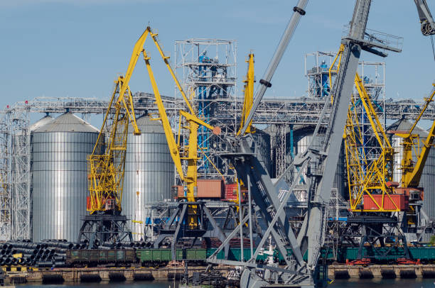 istock Lifting harbor cranes, shipping containers and granaries in the cargo seaport 1301456454