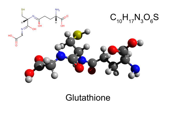 Chemical formula, skeletal formula and 3D ball-and-stick model of antioxidant glutathione stock photo