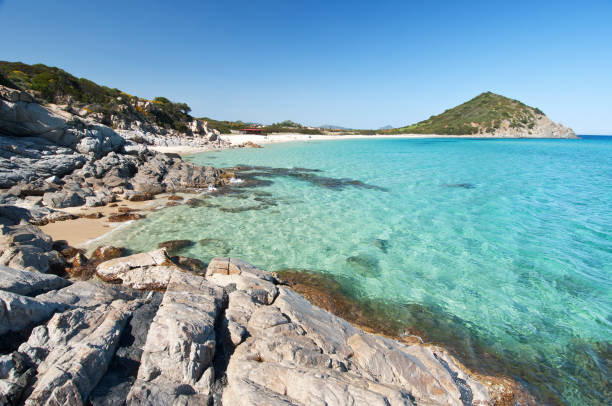 istock crystal clear water and white sand at Monte turnu beach, sardinia 1301460461