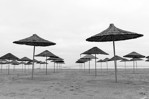 Umbrellas on empty beach, black and white