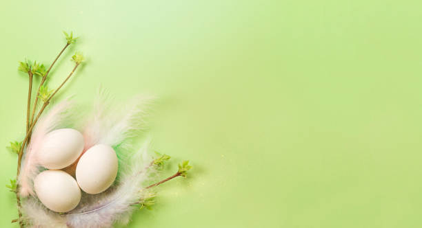 istock White Easter eggs in a delicate nest of colored feathers with unfurled leaf buds on the branches. Spring, a religious holiday, the birth of life. Copy space. Pale green background 1301464406