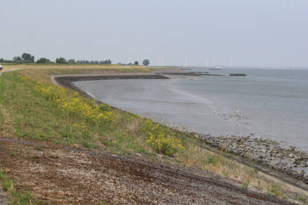 istock a coast landscape in zeeland in springtime 1301467193