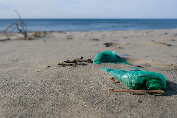 istock Green Plastic bottle on sea coast, pollution ecosystem planet save concept, 4k 1301467873