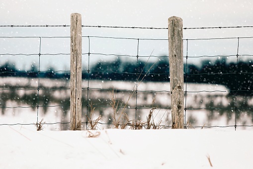 A close up of a fence in winter.
