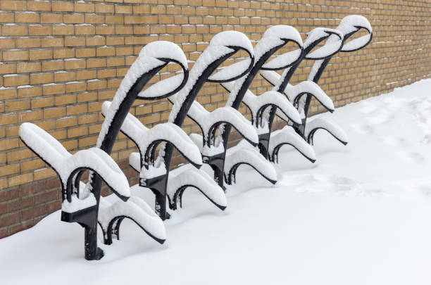 snowy empty bicycle rack in Boskoop, Netherlands