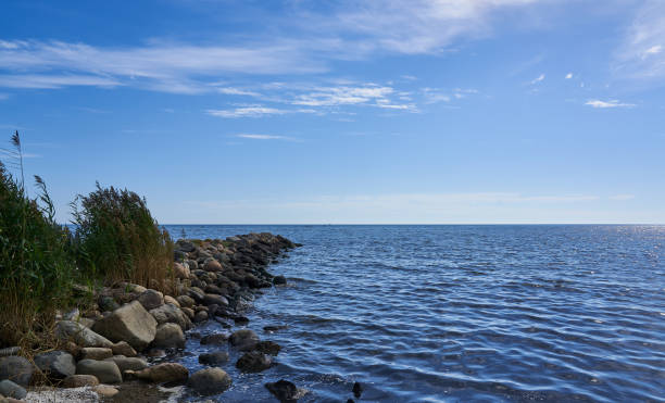 istock Groyne of boulder rock at the coast 1301470839