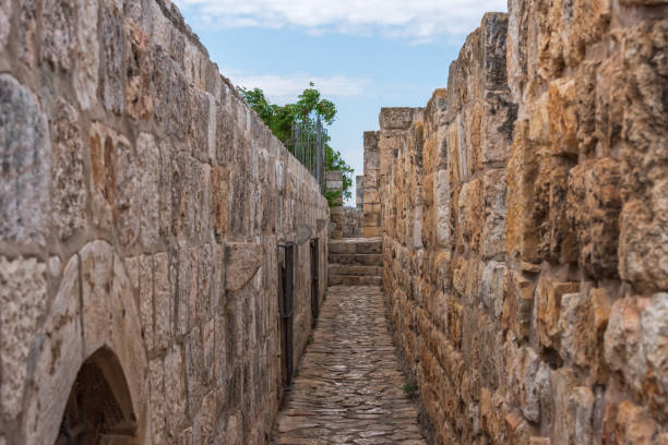 istock Wall of the Old City in Jerusalem 1301471126
