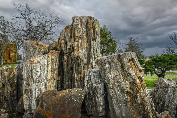 Display of large pieces of petrified wood in a pile outdoors under a blue sky with pretty clouds