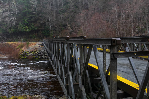 istock Single Lane Bridge At Loss Creek 1301474503