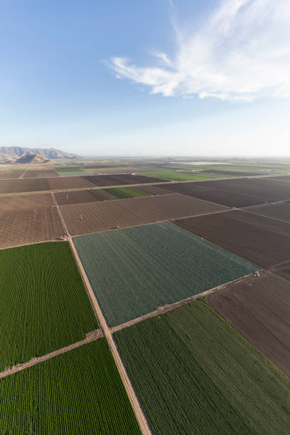 istock Ventura County California Farm Fields Aerial 1301474532