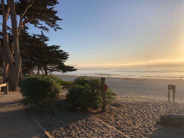 istock Carmel By The Sea, CA 1301480030